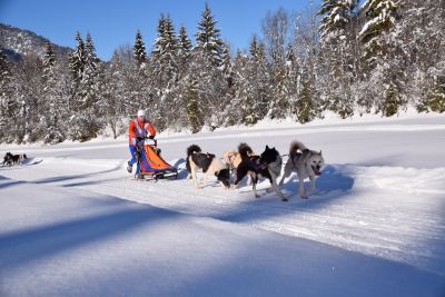 Schlittenhunde-Fahrt durch die tiefverschneite Winterlandschaft im PillerseeTal