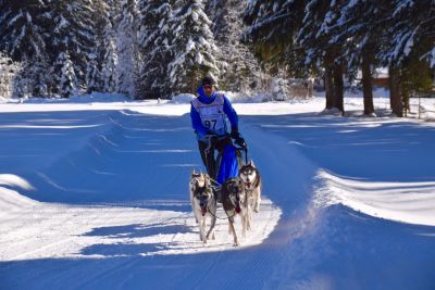 Bild © WMP: Schlittenhunde-Fahrt durch die tiefverschneite Winterlandschaft im PillerseeTal
